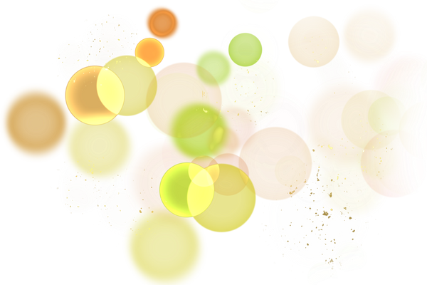 Bokeh Light Overlay