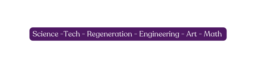 Science Tech Regeneration Engineering Art Math